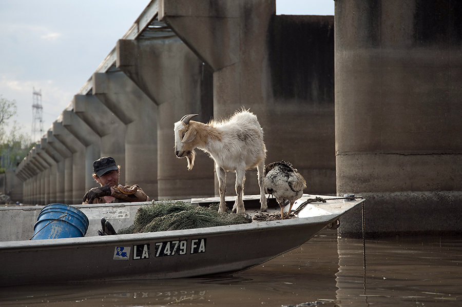 Spillway-JB-with-levee-boat-animals.jpg