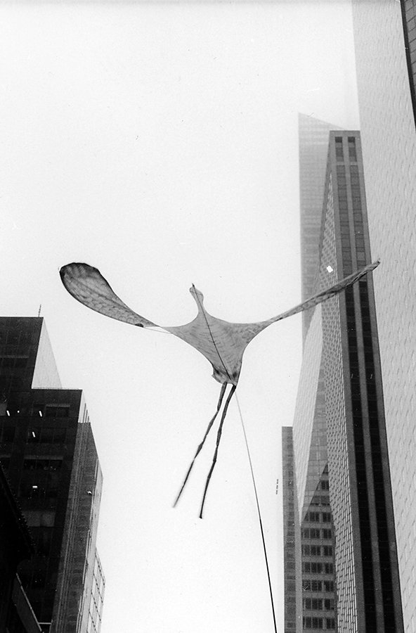 bird-puppet.jpg