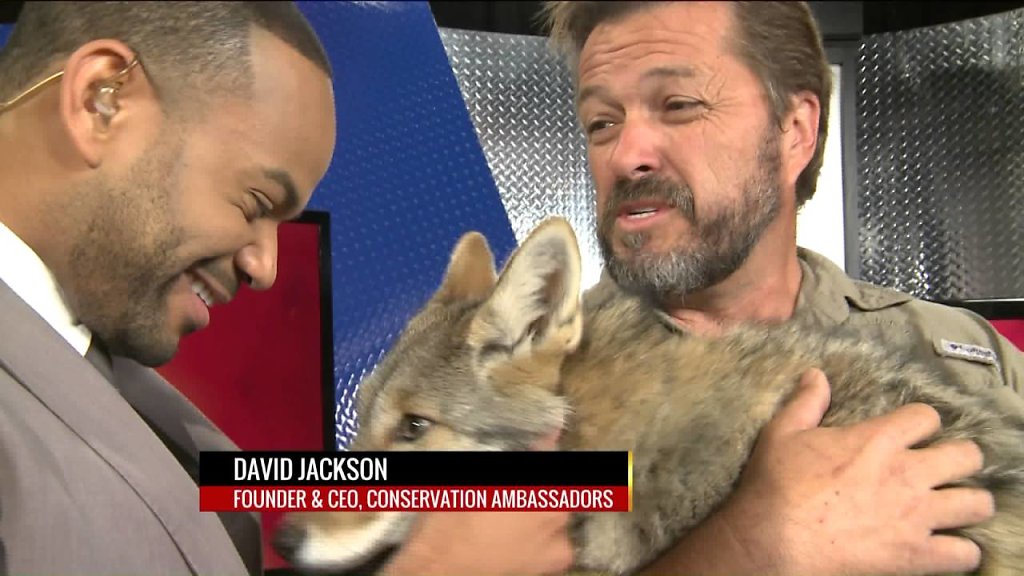 david-jackson.jpg