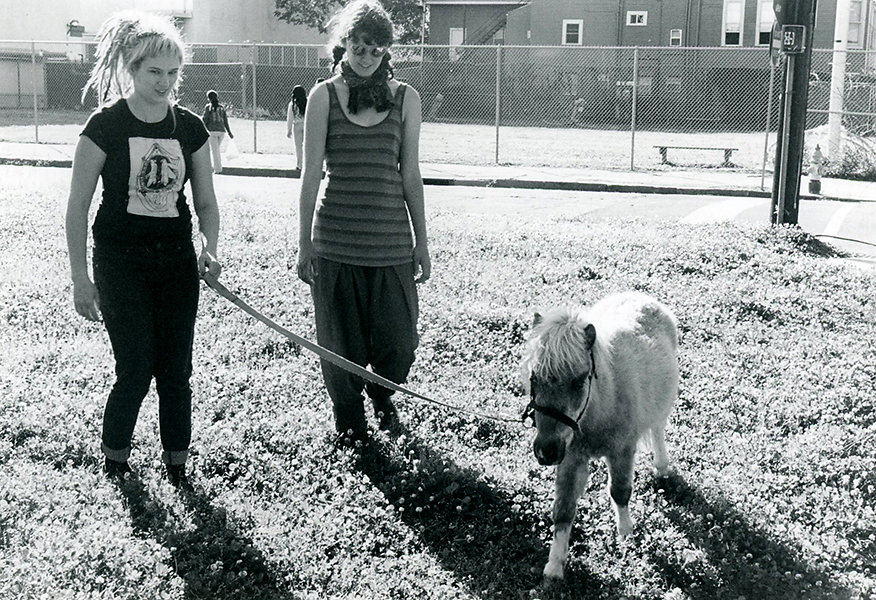 mini-pony-walk.jpg