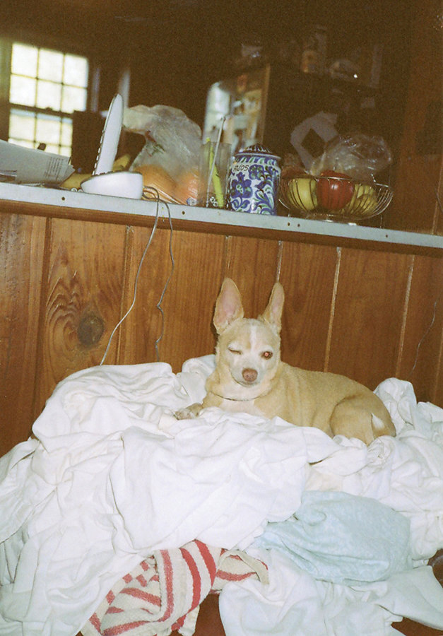 windle-darlington-wink4site.jpg