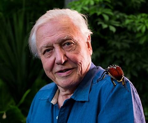 david-attenborough.jpg